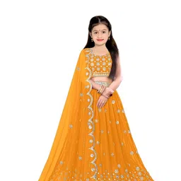 F Plus Fashion Multi Net Lehenga Choli-image-18