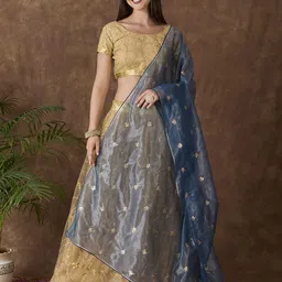 Dupatta Bazaar Embroidered Dupatta with Sequinned image 4