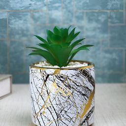 Myntra Elegant Homes White 1 Pieces Succulent Artificial Plant With Pot-26