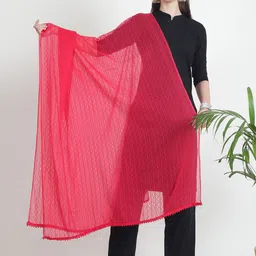 LOOM LEGACY Geometric Thread Work Sequinned Chiffon Dupatta-12