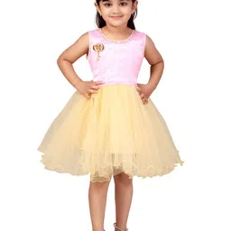 BAESD Girls Printed Net Fit & Flare Dress-picture-19