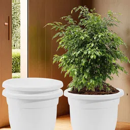 Kuber Industries White 3 Pieces Recyclable Planters With Removable Wheels-image-4