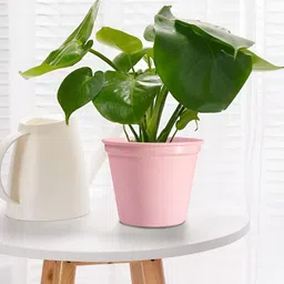 Decorcity Pink Metal Cylinder Planter-picture-18