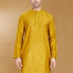 DIVISIVE Geometric Embroidered Mirror Work Mandarin Collar Straight Kurta-picture-45