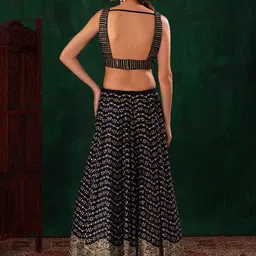 DIVASTRI Embellished Sequinned Semi-Stitched Lehenga & Unstitched Blouse With Dupatta image 5