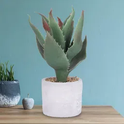 Ekhasa Green 1 Pieces Hanging Artificial Plant With Pot-image-64