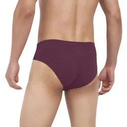 LOGGERHEAD Pack Of 2 Mid-Rise Basic BriefsLHCB001-ANTHRA-WINE image 3