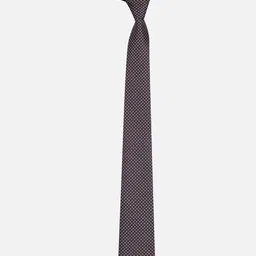 Van Heusen Men Printed Broad Tie image 4