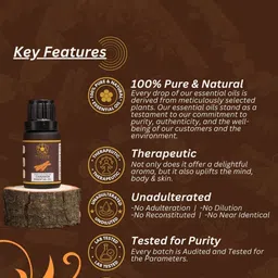ULLASSA Set Of 4 Cinnamon Bark Essential Oil - 10 ml Each image 5