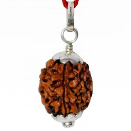 RAVIOUR LIFESTYLE Circular Rudraksha Pendants-image-64