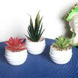 FOLIYAJ Green 3 Pieces Succulent Artificial Plant With Pot-37