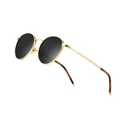 LIAN NUR Unisex Round Sunglasses with UV Protected Lens LN-016-32