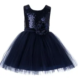 Wish little Net A-Line Dress image 1