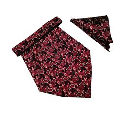 Paisley Design Cravats & Pocket Square Combo-image-62
