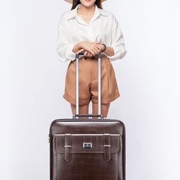 THE CLOWNFISH Soft-Sided Overnighter Trolley Bag-14