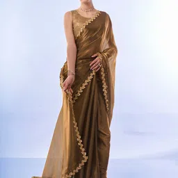 ROOP SUNDARI SAREES Embellished Sequinned Organza Designer Saree-picture-46