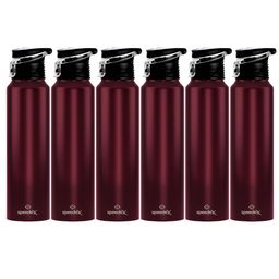 Speedex Maroon Set of 6 Stainless Steel Colourblocked Water Bottle-13