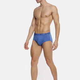 Ramraj Men Plus Size Assorted Pack Of 4 Basic Briefs ArrowYBriefC4P image 5