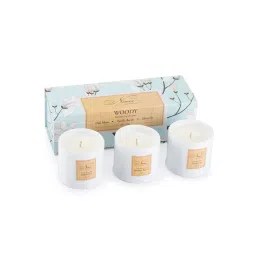 Niana Woody Collection - Set Of 3 Candles-picture-41
