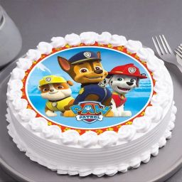 Pawlicious Poster Cake-image-5