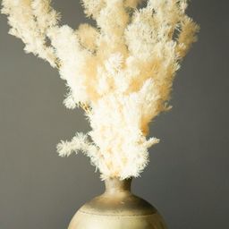 ArteCasa White & Beige Asparagus Artificial Plant-image-68