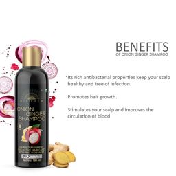 Desi Crew Set Of 3 Onion Ginger Shampoo For Hair Nourishment - 100 ml Each image 2