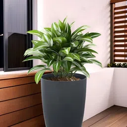 RUBOXA Grey UV-Protected Planters With Plate-44