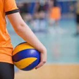 HAND STICHED VOLLEYBALL VI Volleyball - Size: 5-picture-16