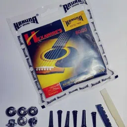 Acoustic 1SET STRING BRIDGE PIN SADDLE NUT FILL Guitar String-97