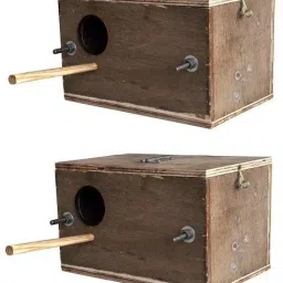 Breeding box for budgies, zava zibra finches lovebirds size 9*6*6 pack of 2 Bird House-picture-19