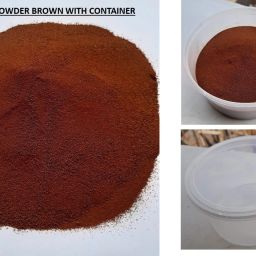Rangoli Powder-31