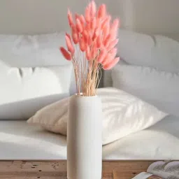 artecasa Bunny Tails Pink Set of 50 Stems Natural Dried Flowers-picture-7