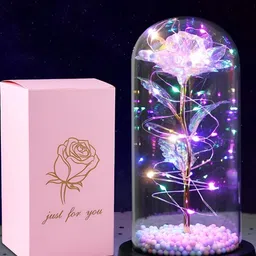 DWIZA ENTERPRISE Purple Artificial Flower Rose Curio Glass Showpiece-image-75