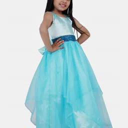 Wish little Net A-Line Maxi Dress image 3