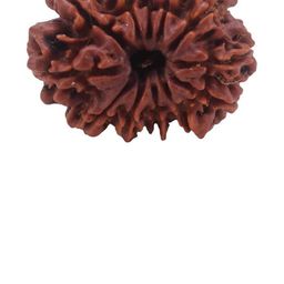 RAVIOUR LIFESTYLE Unisex Brown Pendant-image-97