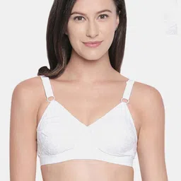 Bodycare Pack of 3 Cotton Lightly Padded Non wired Tshirt Bra FK-5586WWW-42C-White-26