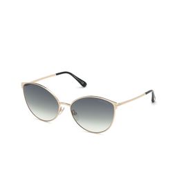Tom Ford Women Blue Lens & Gold-Toned Oversized Sunglasses with-image-71