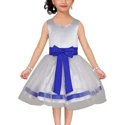 Wow Princess Net A-Line Dress-image-95