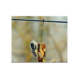 Inephos Black & Brown Birds and Animals Canvas Paintings Wall Art-picture-16