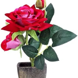 Artificial Red Rose Flower with Square Pot for Home décor Wild Artificial Plant with Pot-image-10