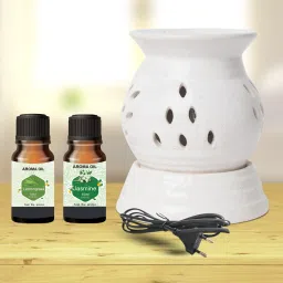 PEEPRESION Electric Round Oil Diffuser With 2 Aroma Oil (10ml Each) Night Lamp | Home, Office, Spa, Bedroom, Club, Temple, Pub Bar, Gym Diffuser-41