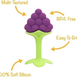 mastela Silicone BPA Free Fruit Shape Teethers for Baby/Infants (Grapes & Strawberry) Teether image 2