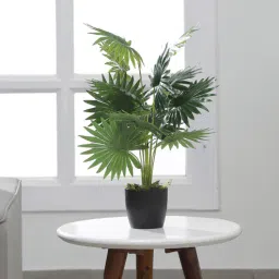 arick decor Green Plastic Artificial Plant With Pot-picture-44