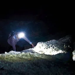 mufasa 7 WATTS Powerful Ultra Bright Head Torch Rechargeable Lamp Home Industrial Work LED Light Torch Torch image 3
