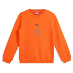 Puma Boys Classics Psl Graphic Sweat Cotton Sweatshirt-image-46