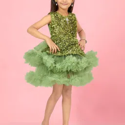 BAESD Net A-Line Dress image 4