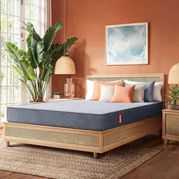 Duroflex LiveIn Pressure Relieving Memory Foam 6" Double Medium Mattress (78x48 Inch)-image-66