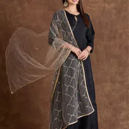 Dupatta Bazaar Embroidered Dupatta with Sequinned image 2