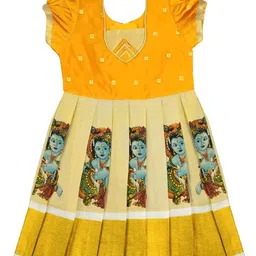 AMIRTHA FASHION Floral Print Jacquard Fit & Flare Dress-picture-31