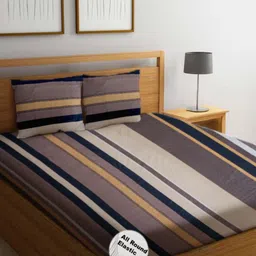 Threadwear Black & Brown Striped 300 TC Queen Bedsheet with 2 Pillow Covers-image-50